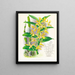 Dendrobium mirbelianum - Jean Jules Linden — ingelijst kunstwerk aan de muur