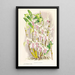 Dendrobium stratiotes - Jean Jules Linden — ingelijst kunstwerk aan de muur