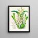 Epiëdendrum prismatocarpum - Jean Jules Linden — ingelijst kunstwerk aan de muur
