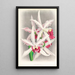 Laelia elegans - Jean Jules Linden — ingelijst kunstwerk aan de muur