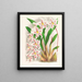 van Odontoglossum alexandrae var. cutsemianum - Jean Jules Linden — ingelijst kunstwerk aan de muur