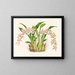 Odontoglossum lucianianum - Jean Jules Linden — ingelijst kunstwerk aan de muur