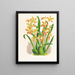 Odontoglossum schillerianus - Jean Jules Linden — ingelijst kunstwerk aan de muur