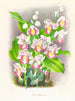 Phaius humbloti - Jean Jules Linden — weergave van het kunstwerk