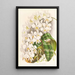 Phalaenopsis Stuartiana - Jean Jules Linden — ingelijst kunstwerk aan de muur