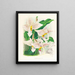 Stanhopea oculata - Jean Jules Linden — ingelijst kunstwerk aan de muur