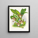 Zygopetalum jorisinum - Jean Jules Linden — ingelijst kunstwerk aan de muur
