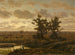 Marais in de Kempen - Jean Pierre François Lamorinière — weergave van het kunstwerk