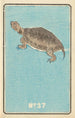 Catalogue illustré des obus de jour No 37 - Jinta Hirayama — weergave van het kunstwerk