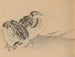 Hogajo Pl04 - Jiro Takeuchi — artwork view