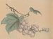 Hogajo Pl05 painting - Jiro Takeuchi — artwork view