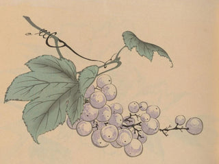 Jiro Takeuchi - Hogajo Pl05.webp
