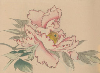 Jiro Takeuchi - Hogajo Pl06.webp