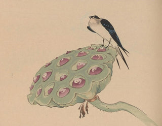 Jiro Takeuchi - Hogajo Pl11.webp
