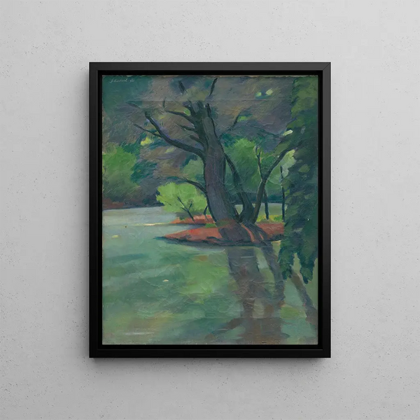 Jlius Schubert - Mtve rameno Dunaja.webp