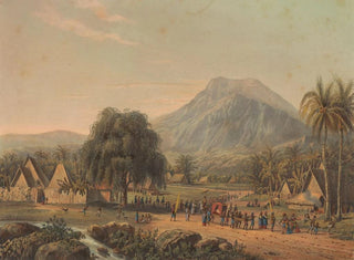 Johan Conrad Greive - Huwelijksoptocht aan de voet van de berg Salak op Java.webp