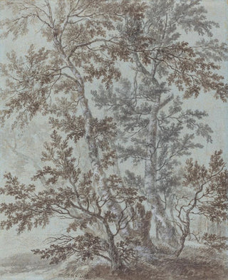 Johann Caspar Huber - A Stand of Birch Trees.webp