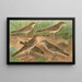 Pipit obscur Gustavi Swinhoe campestris spipoletta Richardi - Johann Friedrich Naumann — ingelijst kunstwerk aan de muur