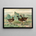 Branta bernicla - Johann Friedrich Naumann — ingelijst kunstwerk aan de muur