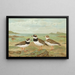 Charadrius hiaticula - Johann Friedrich Naumann — ingelijst kunstwerk aan de muur