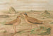 Courvite Isabelle - Johann Friedrich Naumann — weergave van het kunstwerk
