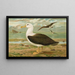 Diomedea melanophrys Boie Zwartkop albatros - Johann Friedrich Naumann — ingelijst kunstwerk aan de muur