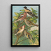Fringilla montifringilla Fringilla coelebs Carduelis carduelis - Johann Friedrich Naumann — ingelijst kunstwerk aan de muur