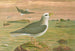 Fulmarus glacialis, stormvogel fulmar - Johann Friedrich Naumann — weergave van het kunstwerk