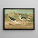 Himantopus himantopus Recurvirostra avocetta - Johann Friedrich Naumann — ingelijst kunstwerk aan de muur