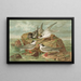 Hydrochelidon fissipes, Hydrochelidon hybrida, Hydrochelidon nigra - Johann Friedrich Naumann — ingelijst kunstwerk aan de muur
