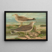 Larus canus Larus argentatus Brunn - Johann Friedrich Naumann — ingelijst kunstwerk aan de muur