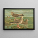 Larus fuscus Larus marinus Larus glaucus Brünn - Johann Friedrich Naumann — ingelijst kunstwerk aan de muur