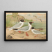 Larus minutus Pall, Larus ridibundus, Larus melanocephalus, Natt, Larus minutus Pall - Johann Friedrich Naumann — ingelijst kunstwerk aan de muur