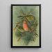 Loxia pityopsittacus Bechst - Johann Friedrich Naumann — ingelijst kunstwerk aan de muur