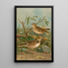Melanocorypha calandra Lullula arborea - Johann Friedrich Naumann — ingelijst kunstwerk aan de muur