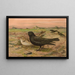 Melanocorypha yeltoniensis - Johann Friedrich Naumann — ingelijst kunstwerk aan de muur