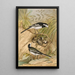 Motacilla lugubris Temm - Johann Friedrich Naumann — ingelijst kunstwerk aan de muur