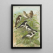 Muscicapa atricapill Muscicapa collaris semitorquata Muscicapa collaris Bechst - Johann Friedrich Naumann — ingelijst kunstwerk aan de muur