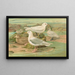 Pagophila eburnea, Phipps, Larus leucopterus, Faber - Johann Friedrich Naumann — ingelijst kunstwerk aan de muur