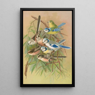 Johann Friedrich Naumann - Parus coeruleus Aegithalus caudatus caudatus vagans caudatus Irbyi Parus cyanus Pall.webp