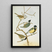 Parus mitratus Parus ater Parus major Parus subpalustris Brm - Johann Friedrich Naumann — ingelijst kunstwerk aan de muur