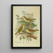 Phylloscopus viridanus nitidus borealis - Johann Friedrich Naumann — ingelijst kunstwerk aan de muur