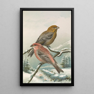 Johann Friedrich Naumann - Pinicola enucleator.webp