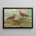 Stercorarius parasiticus Stercorarius pomarinus Grote jager Kunstdruk Stercorarius longicaudus Vieill - Johann Friedrich Naumann — ingelijst kunstwerk aan de muur