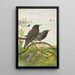 Sturnus vulgaris - Johann Friedrich Naumann — ingelijst kunstwerk aan de muur
