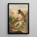 Turdus atrigularis - Johann Friedrich Naumann — ingelijst kunstwerk aan de muur
