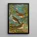 Turdus fuscescens Turdus pallassii Turdus swainsonii - Johann Friedrich Naumann — ingelijst kunstwerk aan de muur