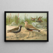 Vanellus gregarius Pall Charadrius dominicus St Muller - Johann Friedrich Naumann — ingelijst kunstwerk aan de muur