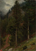 Reproductie van het schilderij Pente dans la forêt de sapins - Johann Wilhelm Schirmer | Reproduction