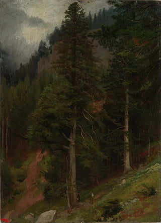Johann Wilhelm Schirmer - Abhang im Tannenwald.webp